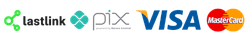 Meios de pagamento: Pix, Visa e Mastercard